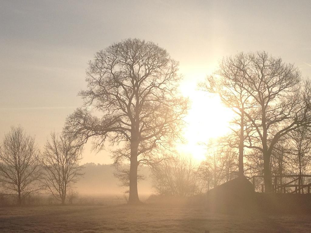 Hoogeloon Gasterij Landschot B&B 외부 사진