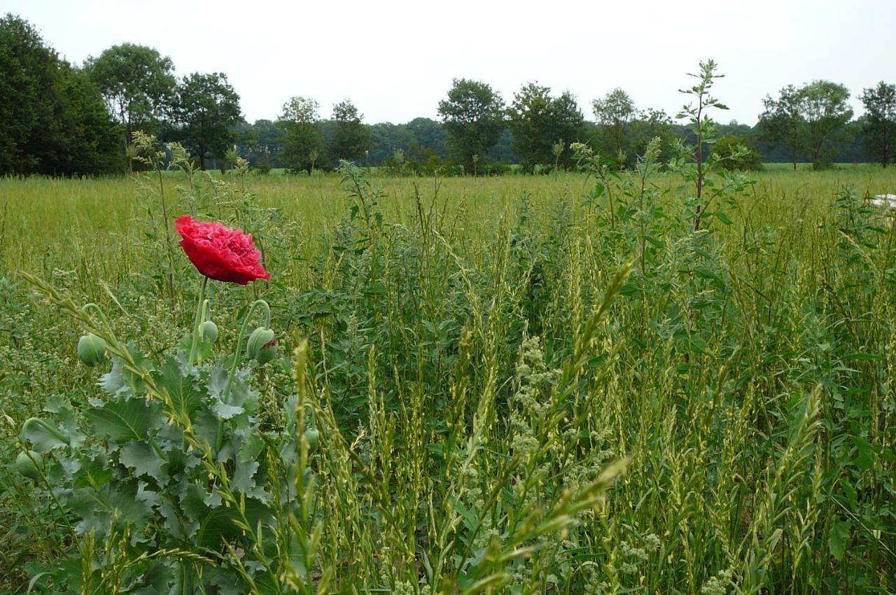 Hoogeloon Gasterij Landschot B&B 외부 사진